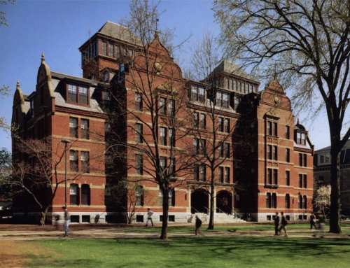 Eyes on the Yard by Derek H. Trelstad – Building Renovation, Summer 1994